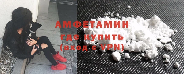 метадон Богданович