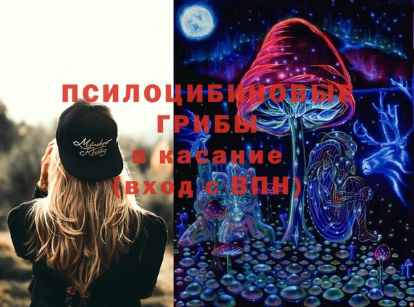 дмт Богородск